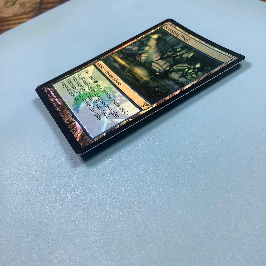 繁殖池/Breeding Pool  DIS英語foil