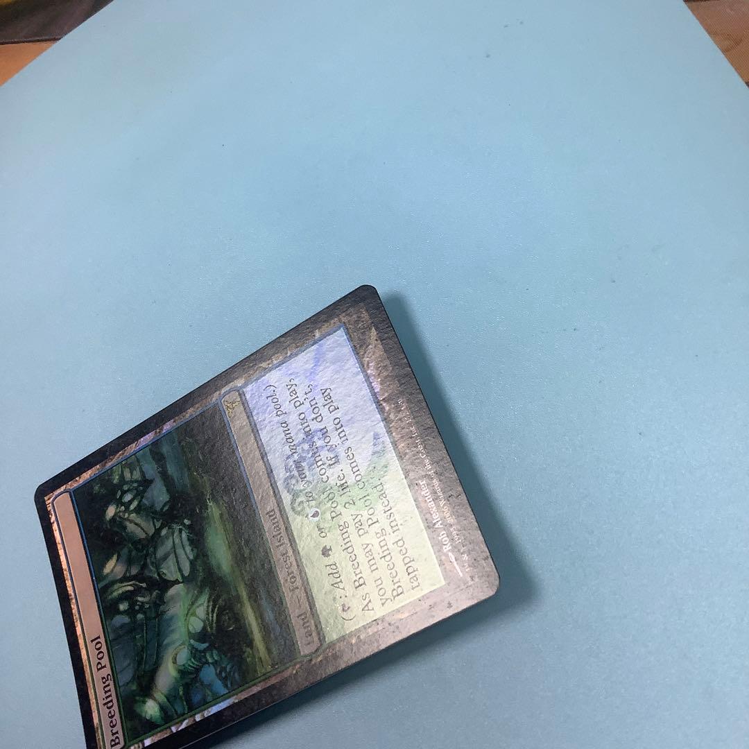 繁殖池/Breeding Pool  DIS英語foil