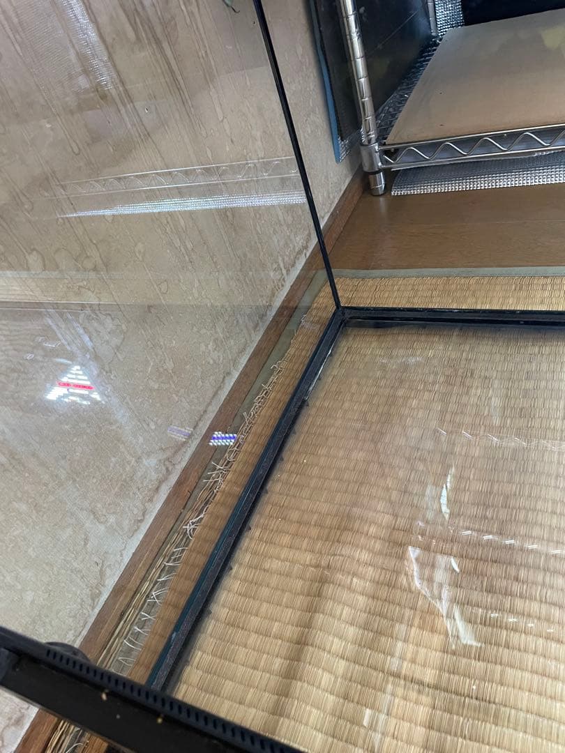 引取限定 GEX グラステラリウム9045 爬虫類 ケージ