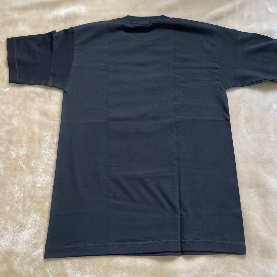 【超レア】幻の80s 映画 反逆のパンクロック Tシャツ レッチリ フリー出演