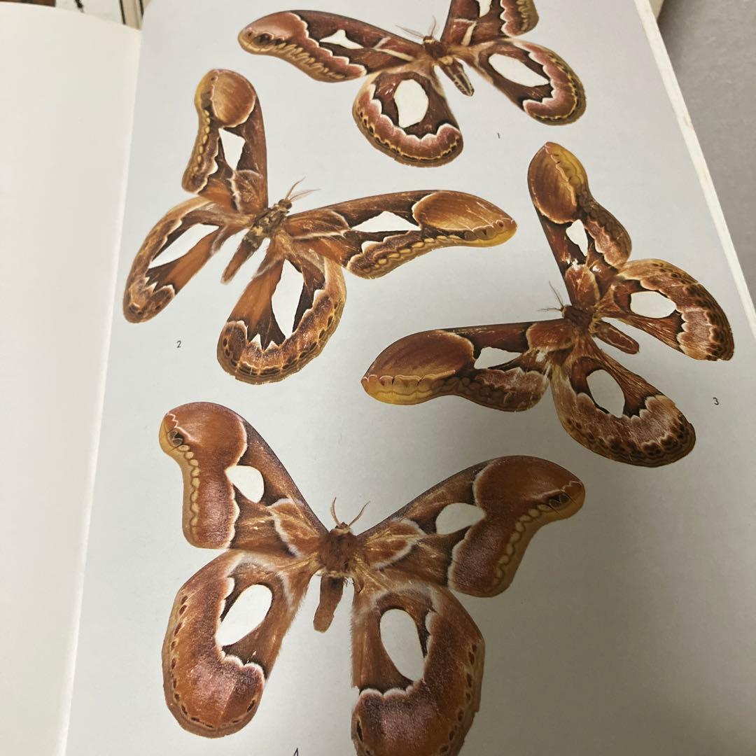 世界の昆虫1〜6図鑑