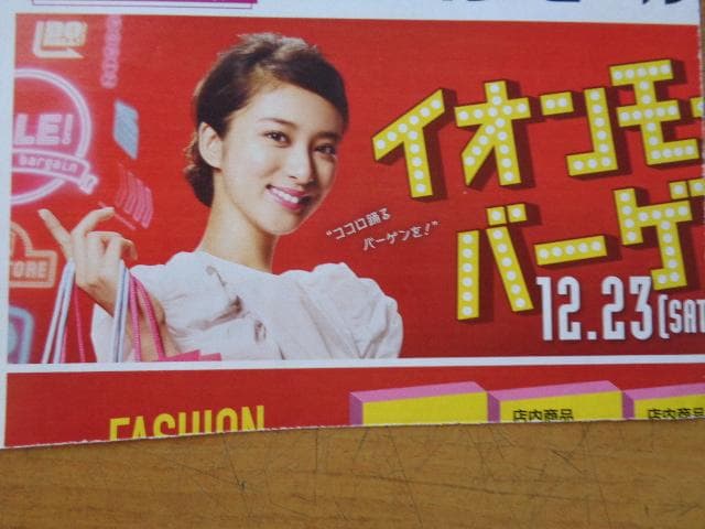 武井　咲、にゃんこスター