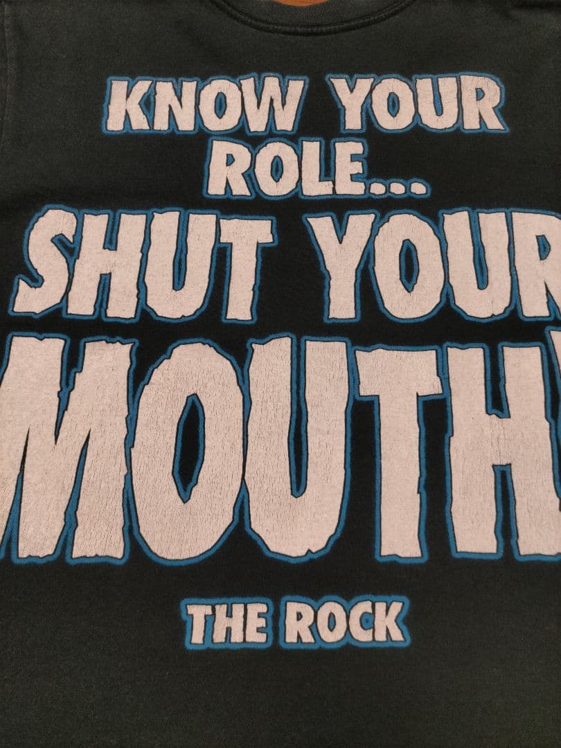 古着90sビンテージ　ワールドレスリングフェデレーション　 Tシャツ 　プロレス