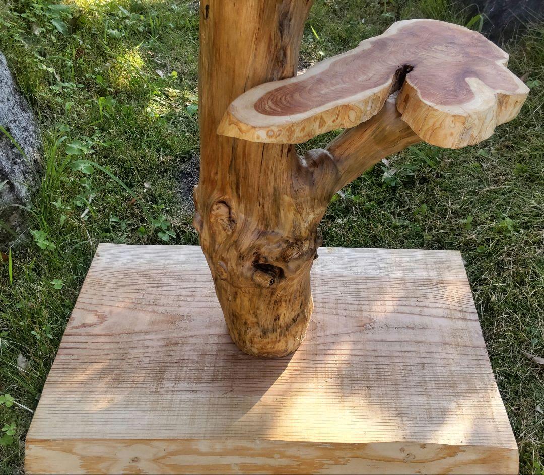 天然木製 4段キャットタワー