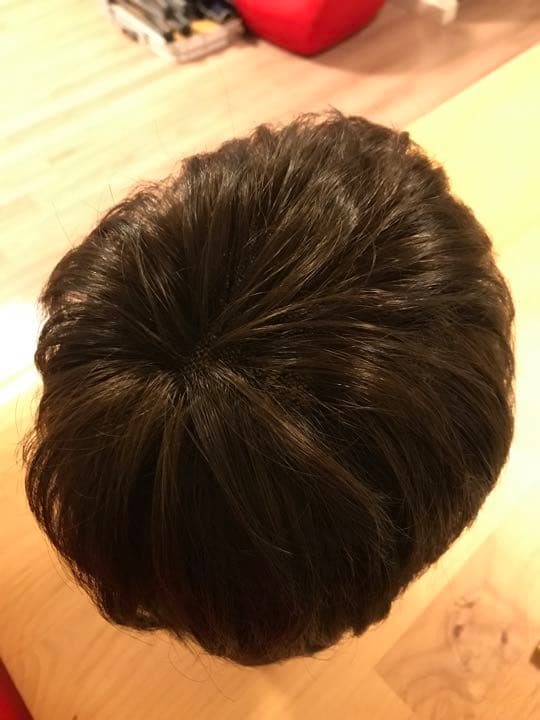 ウィッグ（人毛）12万円　ネット付き（未使用）