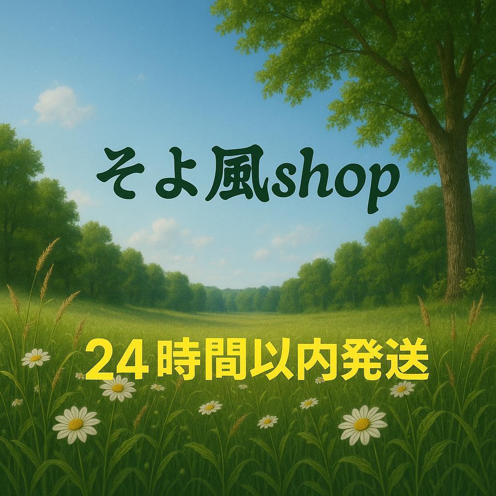 【新品未開封】NECA M3GAN ミーガン ５インチ アクションフィギュア