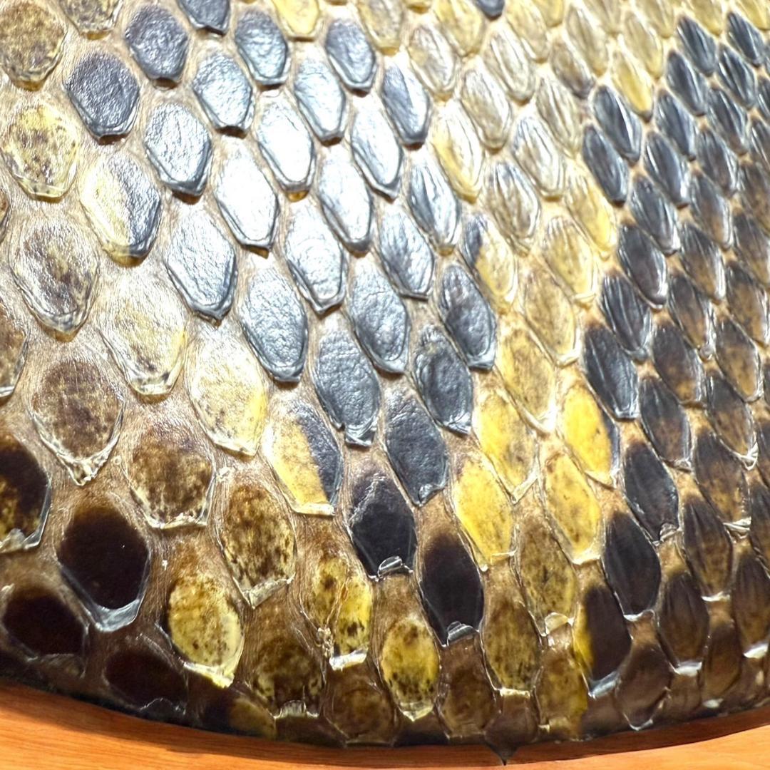 ☆美品 沖縄 琉球 三線 本蛇革 本革 蛇革 本皮 蛇皮 爪 ケース付 伝統楽器