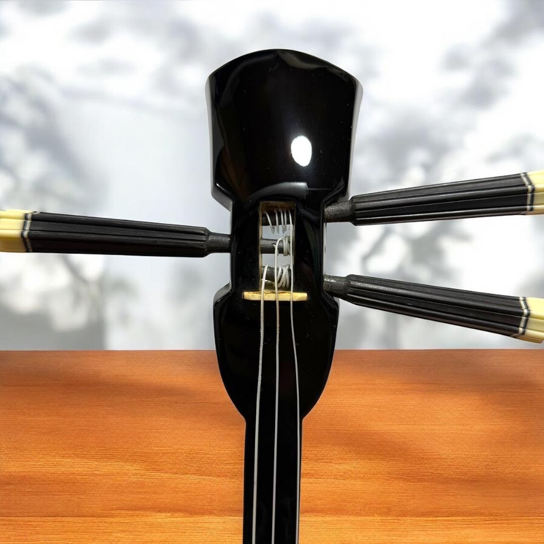 ☆美品 沖縄 琉球 三線 本蛇革 本革 蛇革 本皮 蛇皮 爪 ケース付 伝統楽器