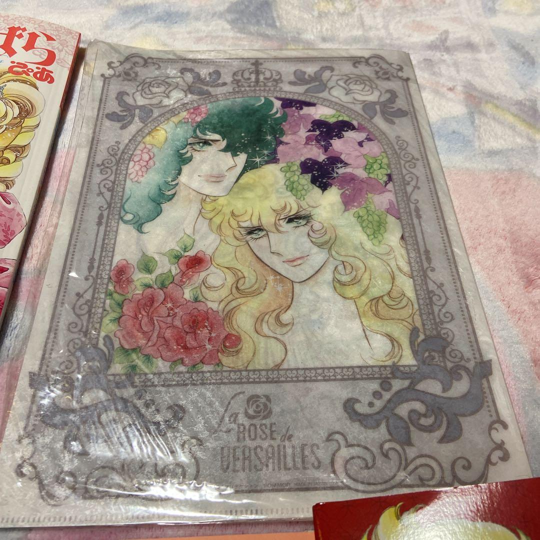 ベルサイユのばら オフィシャルブック 完全ガイド サテンポーチ クリアファイル