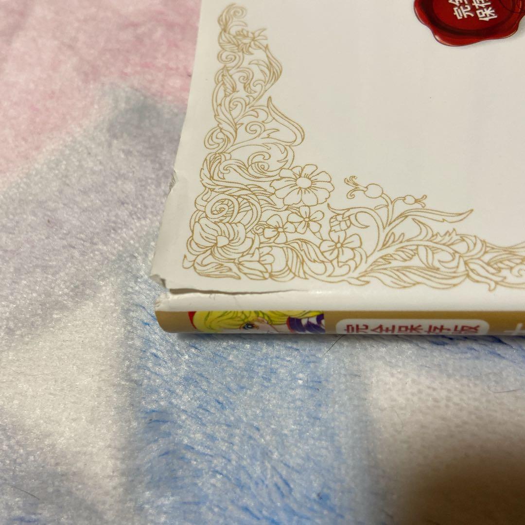 ベルサイユのばら オフィシャルブック 完全ガイド サテンポーチ クリアファイル