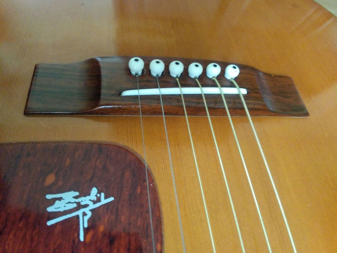 TAKEHARU GUITAR　WT-250　made in Japan