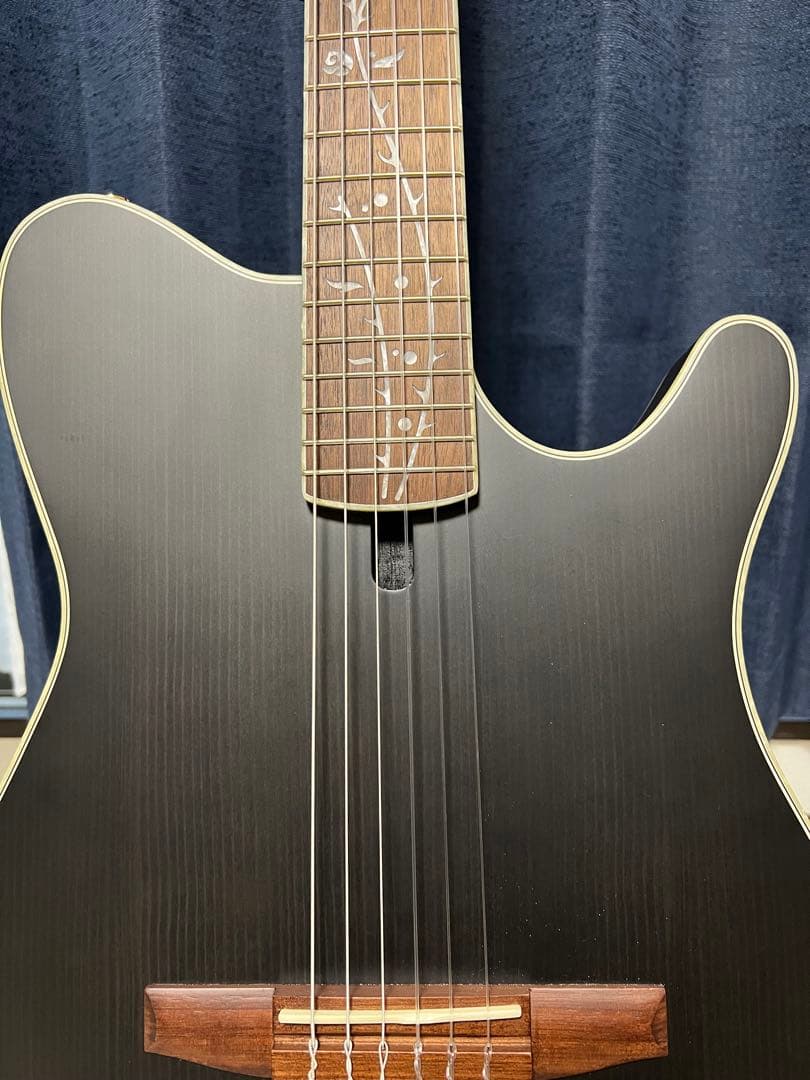 Ibanez TOD10N（Tim Henson シグネチャー / ナイロン）