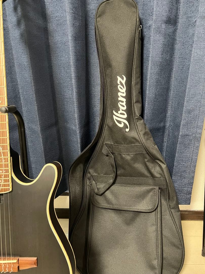 Ibanez TOD10N（Tim Henson シグネチャー / ナイロン）