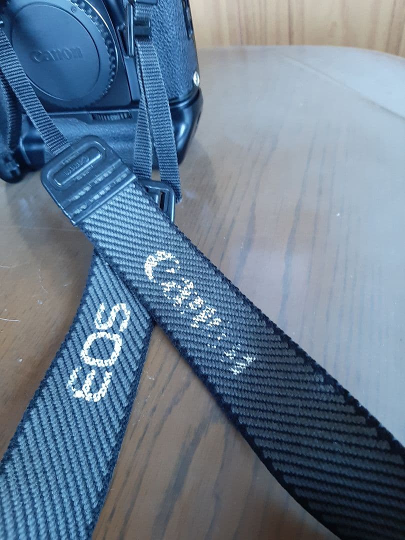 CANON EOS-1N 一眼レフ フィルムカメラ 中古品