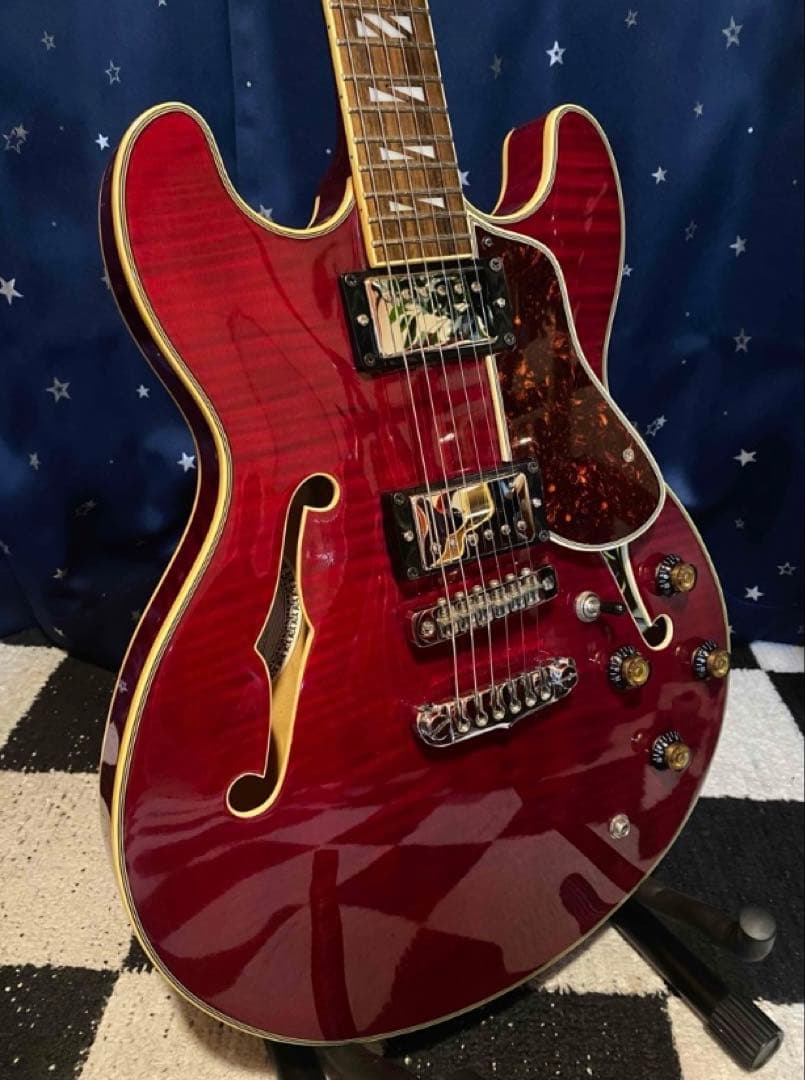 Aria Pro 2 TA-700 (Ritter Gig Bag付き)