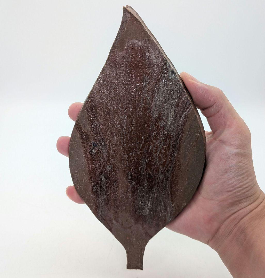 藤原陶臣 備前焼 葉皿5客 共箱 食器 菓子皿 菓子器 取り皿 銘々皿 緋襷