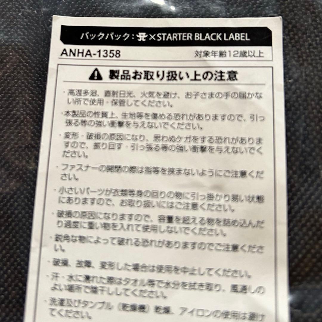 浜崎あゆみバックパック STARTTER BLACK LABEL vol.１