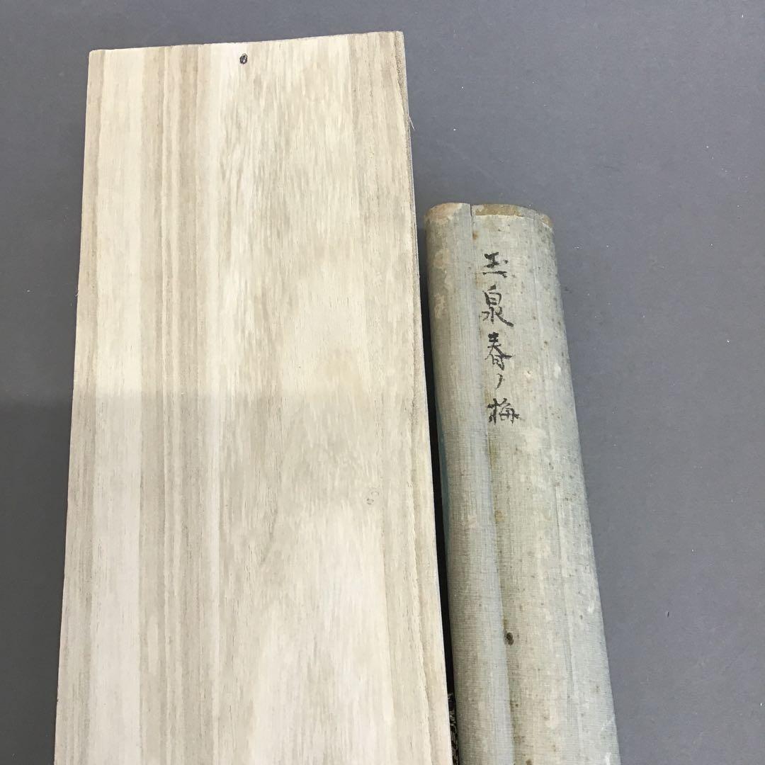 K茶道具　掛軸　春山暖靄(しゅんざんだんあい)　呉水作　配送用桐箱　S203KJ