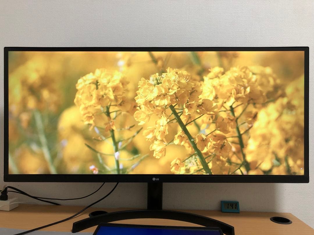 LG 34WL500-B ウルトラワイドモニター 34インチ