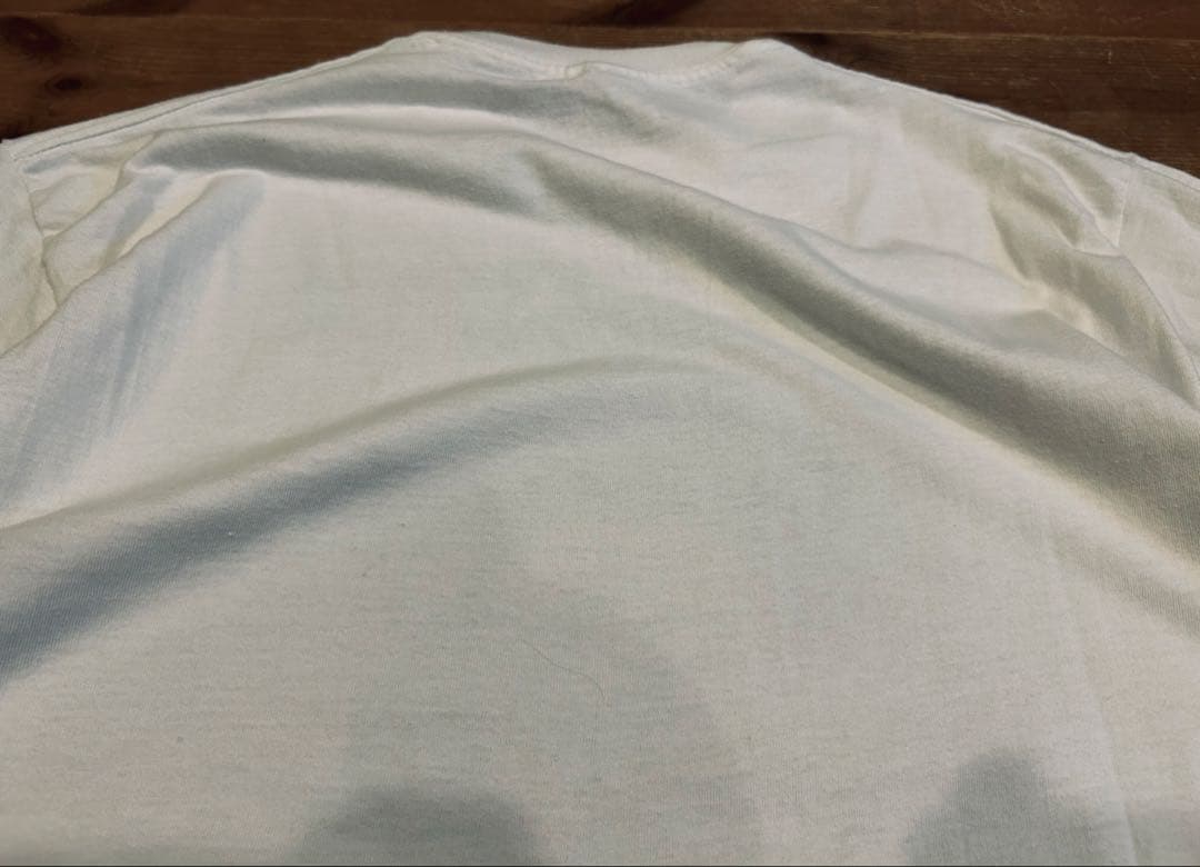 Tシャツ 古着 90s Frida Kahlo フリーダ・カーロ 偉人 アート