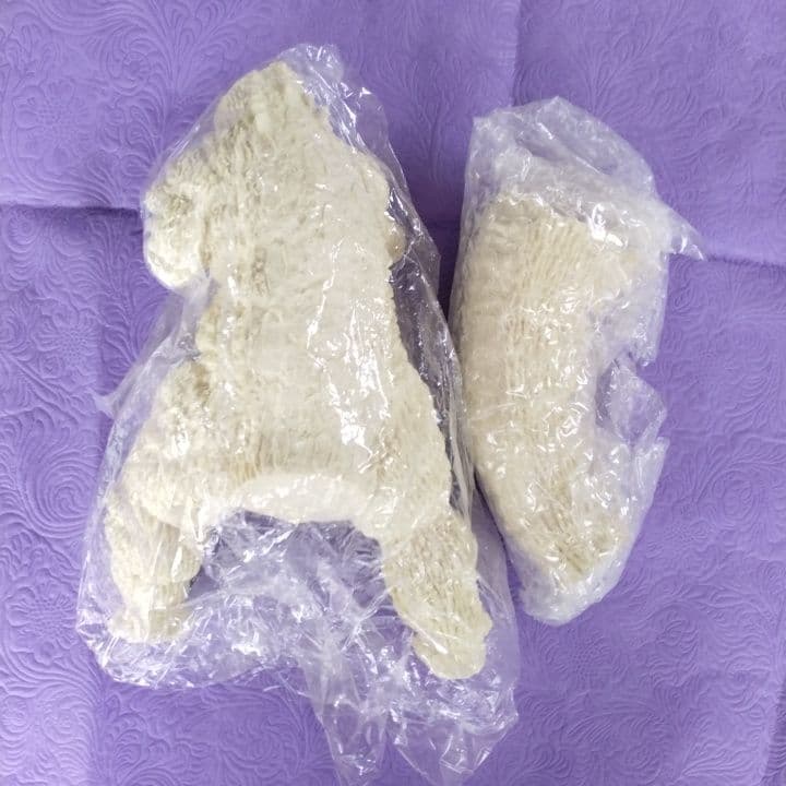 浅井造型 逆ゴジ 大阪蹂躪