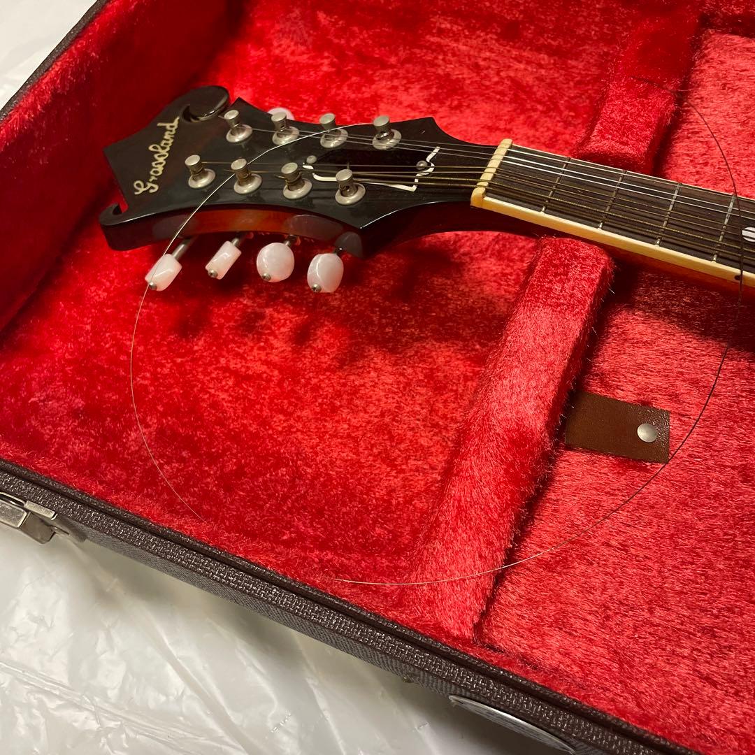 グラスランド　フラットマンドリン　ケース付き　カワセ
