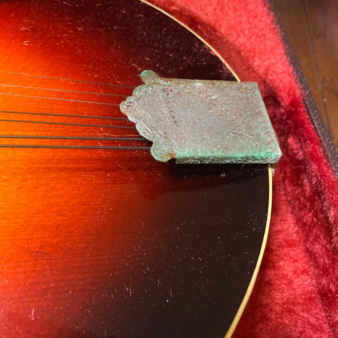 グラスランド　フラットマンドリン　ケース付き　カワセ