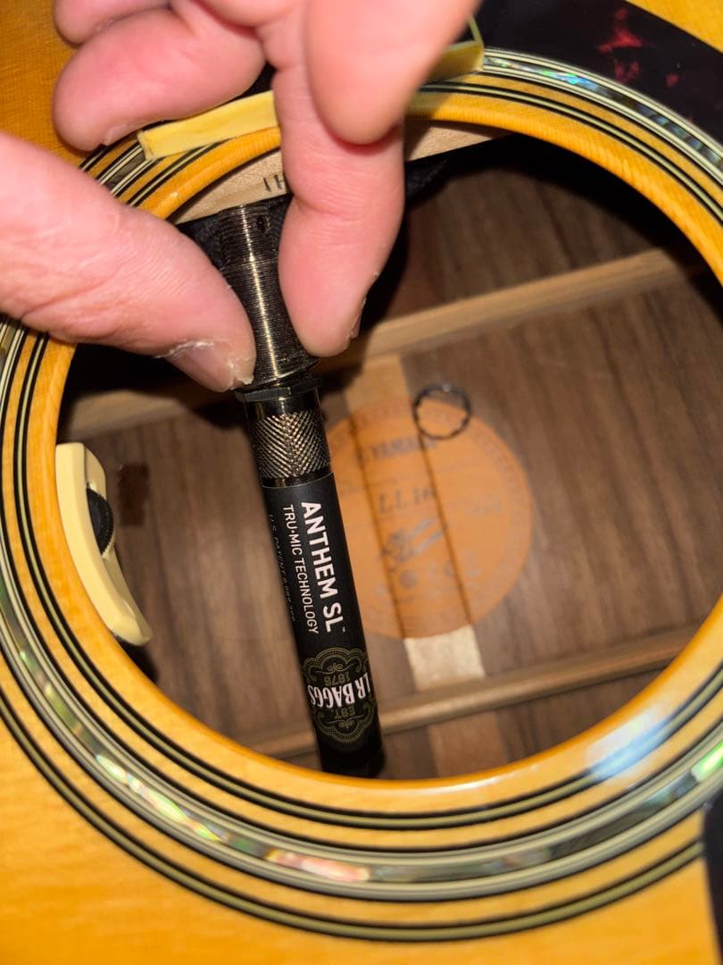 Yamaha LL16 ARE LR Baggs ANTHEM SL別売アリ