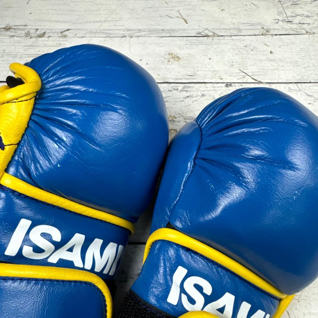 ISAMI パウンドグローブ グローブ フリーサイズ ボクシング 格闘技
