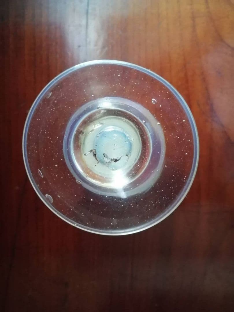 古い氷コップ（アイスクリームコップ）