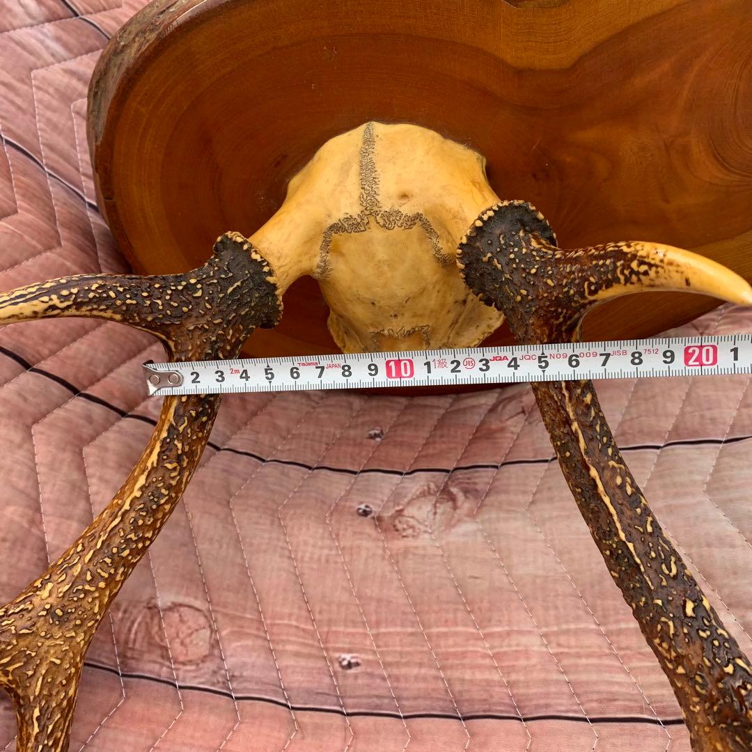 刀掛け　日本刀　模造刀