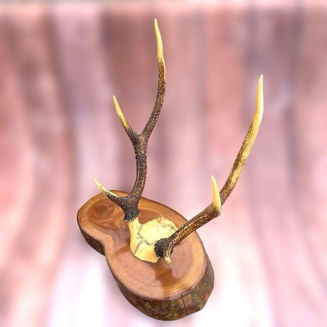 刀掛け　日本刀　模造刀