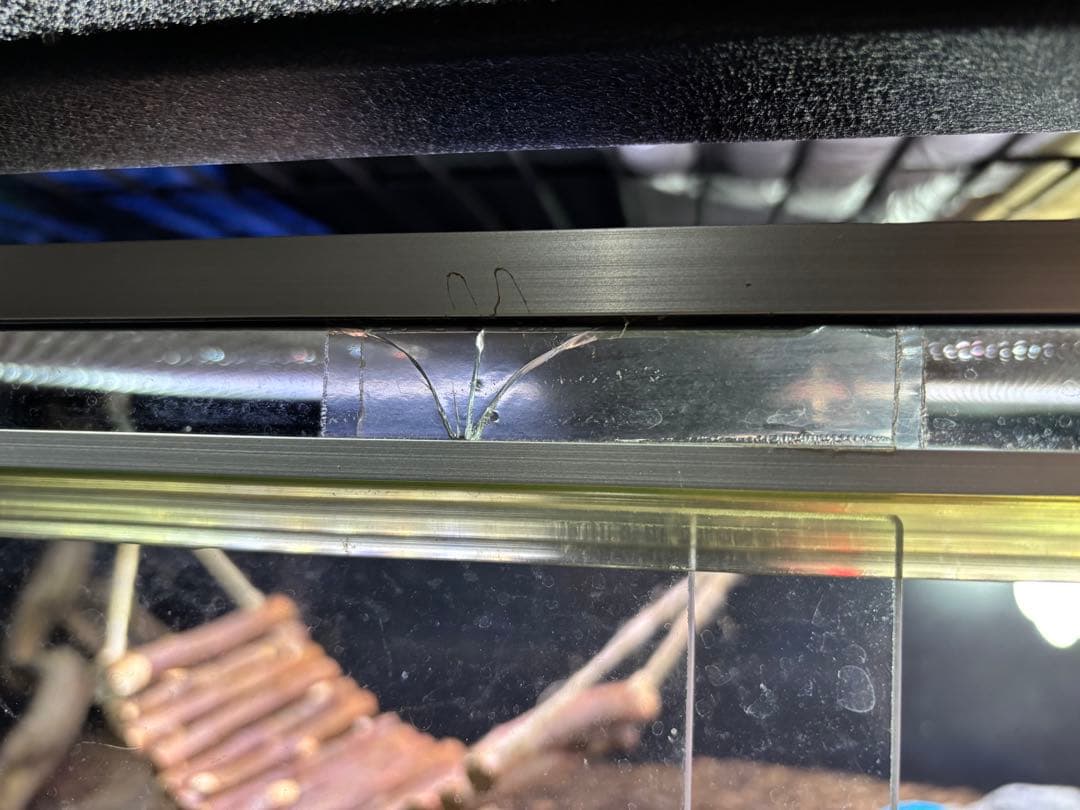 爬虫類　龍匠ケージ　まとめ売り