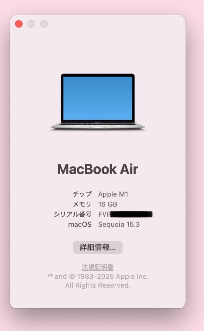 MacBook本体 Apple MacBook Air (M1, 2020)