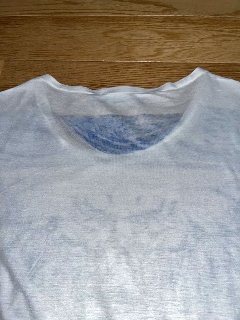 ■Dolce&Gabbana Tシャツ マヨルカ レモン ドルガバ