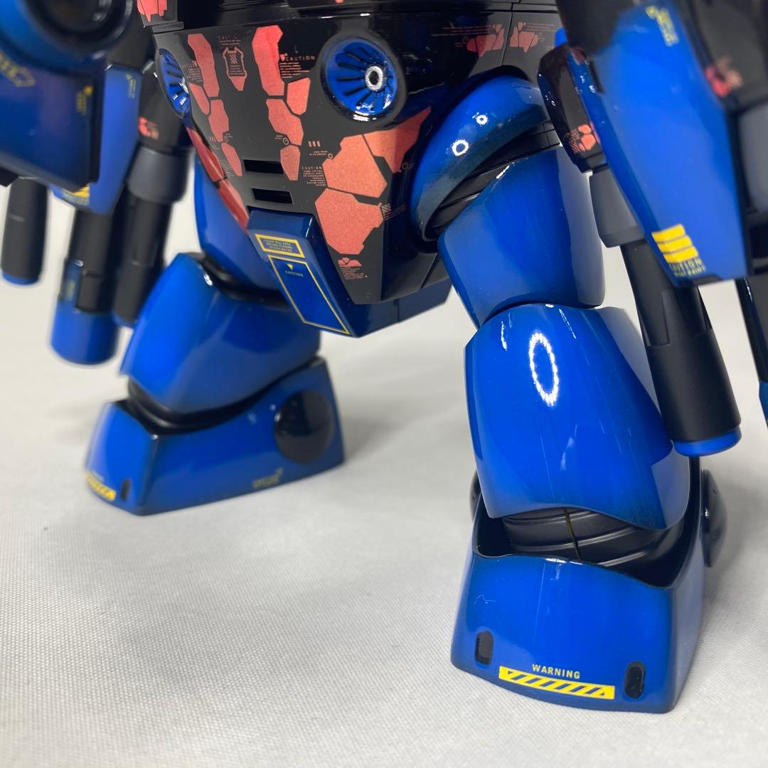 Taisa 　HG アメイジングジュアッグ　全塗装　完成品　塗装済ガンプラ