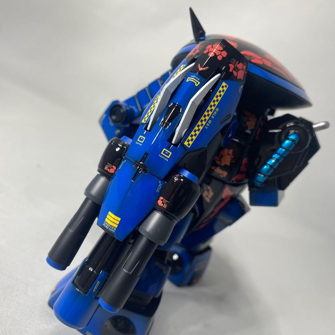 Taisa 　HG アメイジングジュアッグ　全塗装　完成品　塗装済ガンプラ