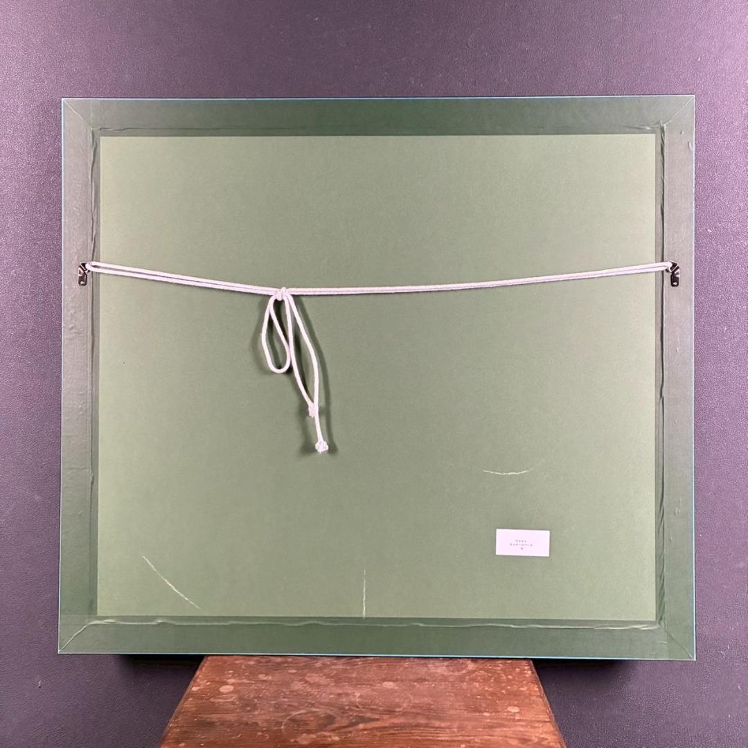 【最終値下げ】美品 アンソニー・キャセイ「オッタースペース」大作 シバクローム