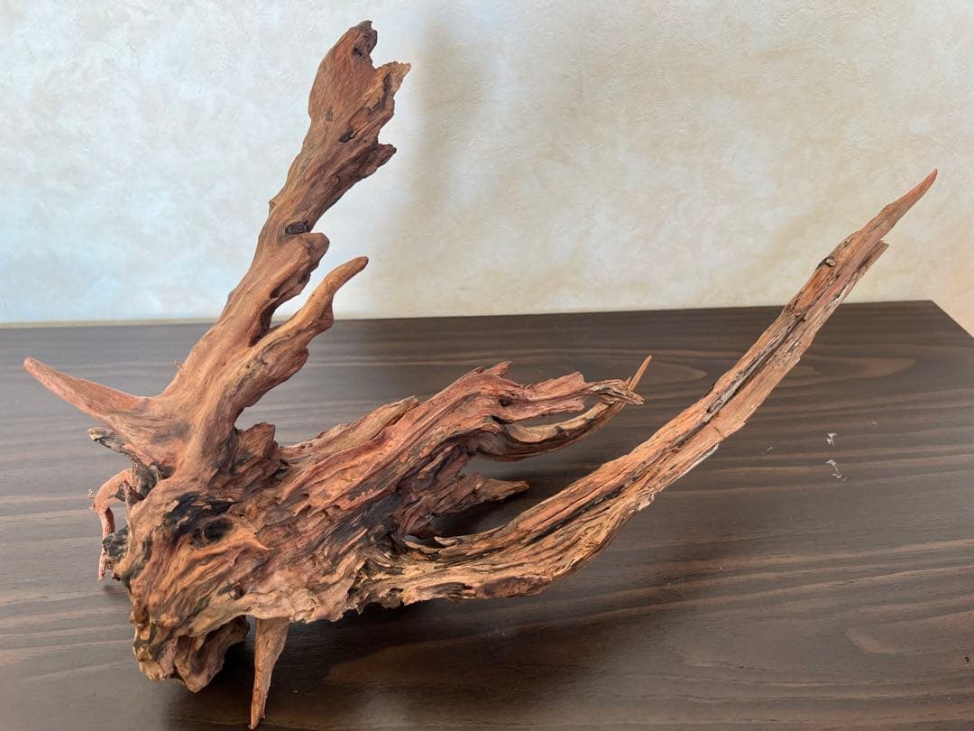 HX-013 流木　ホーンウッド　マシンガンウッド　アクアリウム　ブランチウッド