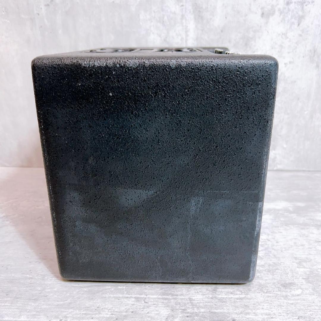 【稀少】【動作品】AER Bingo2 アコースティックアンプ