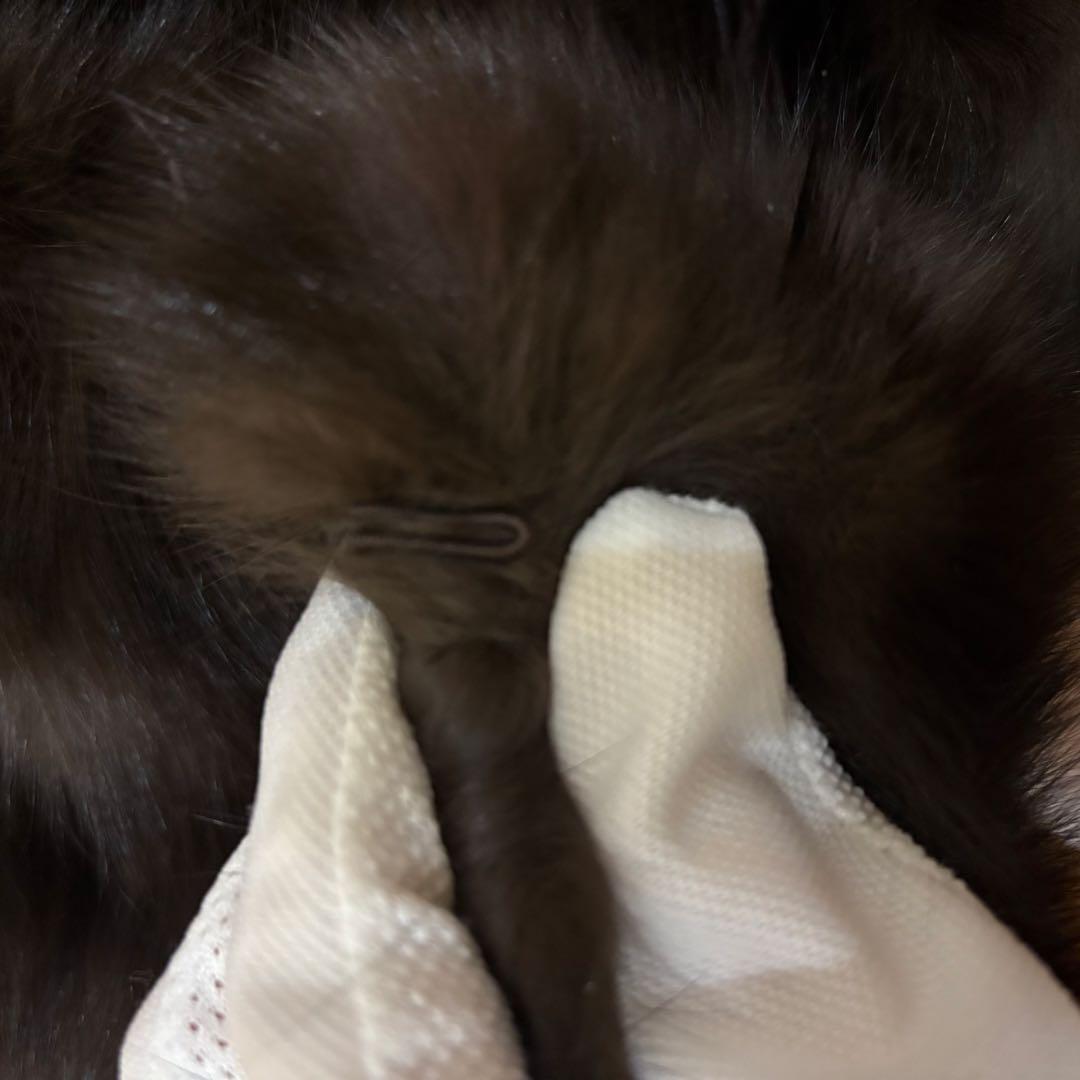 SOBOL ソボル　マフラー　ショール　ブラウン　ファー