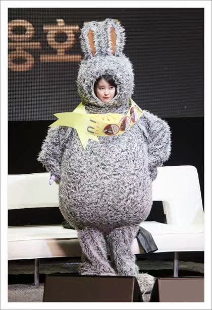 IU アイユー トッキユ うさぎU ぬいぐるみ 20cm