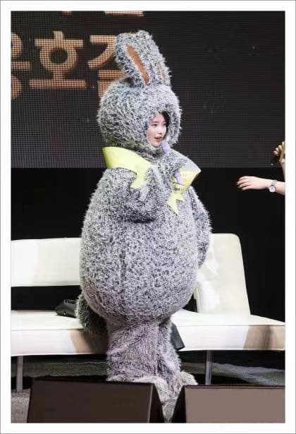 IU アイユー トッキユ うさぎU ぬいぐるみ 20cm