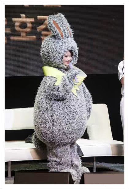 IU アイユー トッキユ うさぎU ぬいぐるみ 20cm