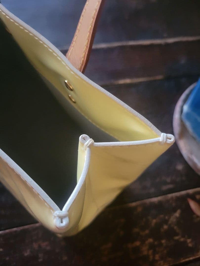 Louis Vuitton　ウェルニリードバック