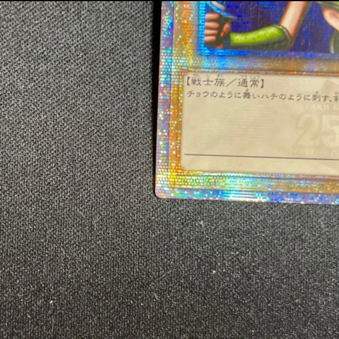 o*ん様 アジア版 女剣士カナン 25th クォーターセンチュリーシークレットレ