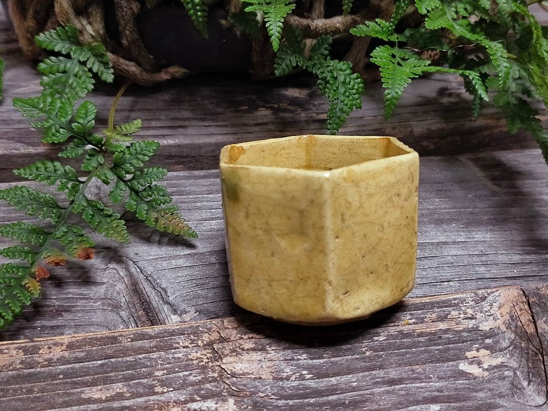 ♥黄瀬戸　ぐい呑み　桐箱付き　③　ぐい飲み　骨董品