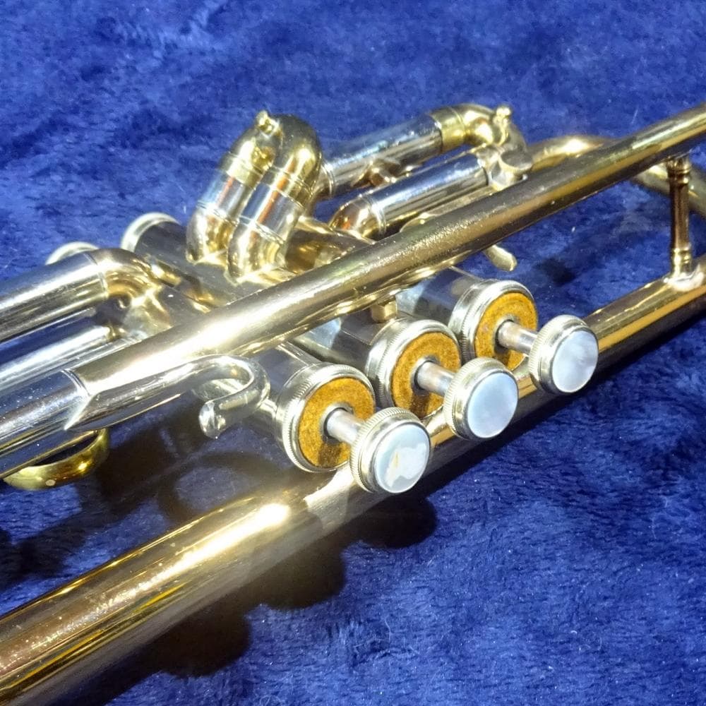 Niikan Imperiale（日管）TR-1（1966）リビルド＆カスタム