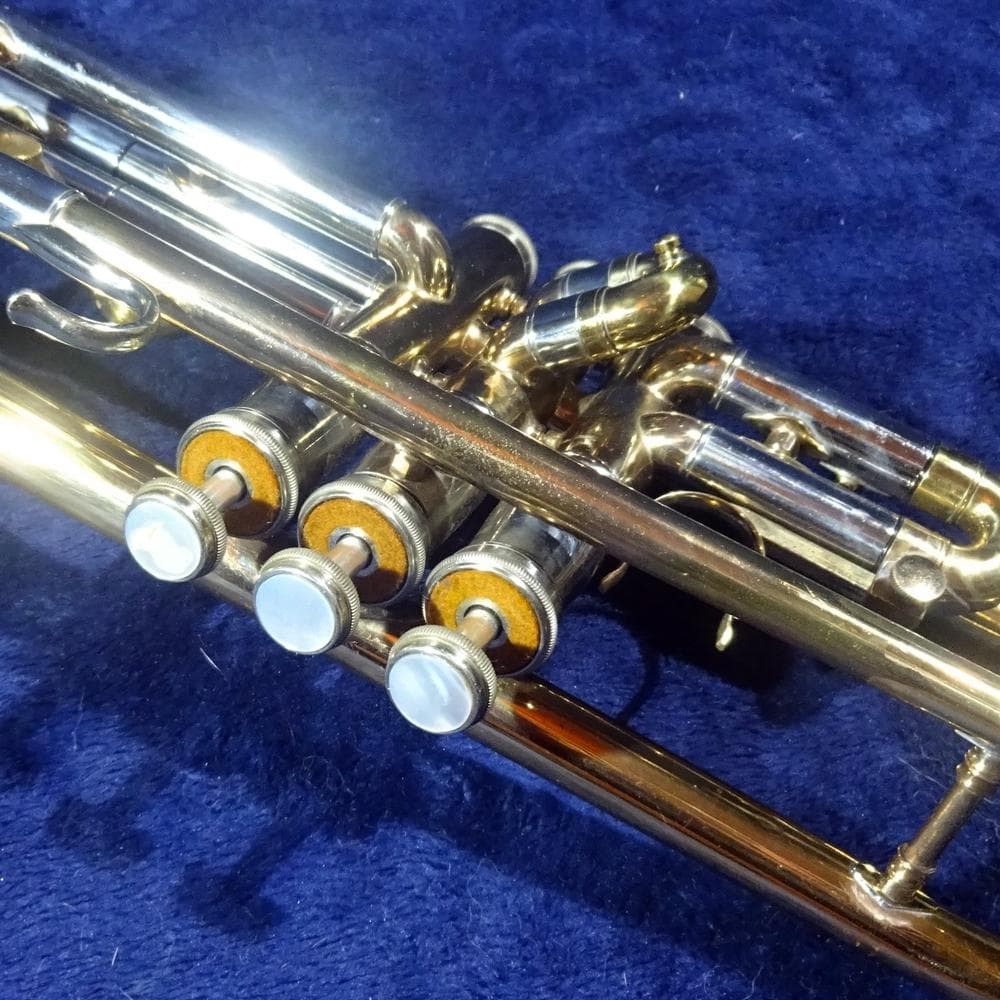 Niikan Imperiale（日管）TR-1（1966）リビルド＆カスタム