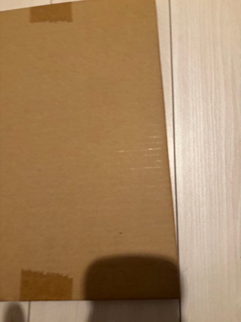 真紅眼の黒竜　プリズマティックシークレットレア　段ボール未開封